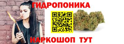 гидра Татарск