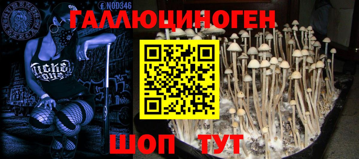 Псилоцибиновые грибы мухоморы  Галлюциногенные грибы мицелий  Бахчисарай  Вход с VPN 