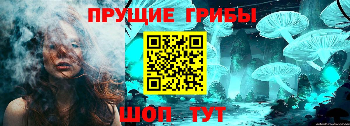 Псилоцибиновые грибы прущие грибы Бахчисарай